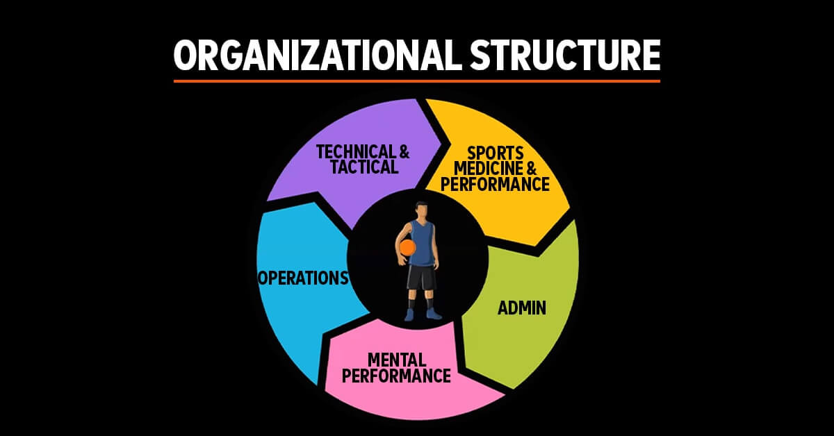 Périodisation tactique : STRUCTURE ORGANISATIONNELLE