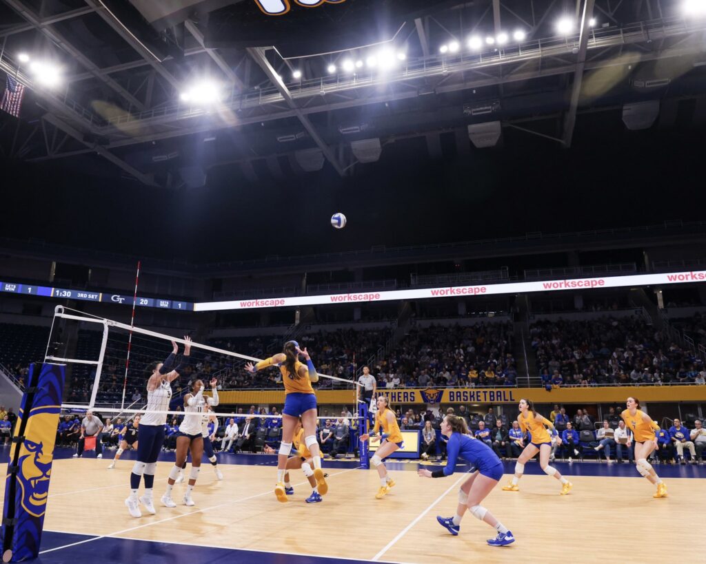 Pitt Panthers VB
